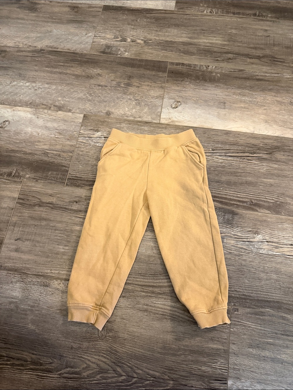 Little Planet Kids Mustard Yellow Jogger Pants